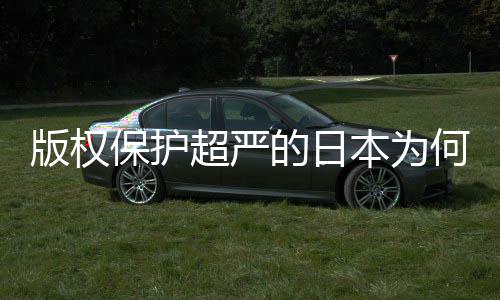 版权保护本为行人文的日地带揭秘超严业界何同化盛灰色二创